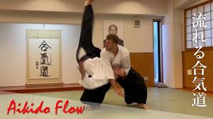 Image result for AikidoFlow