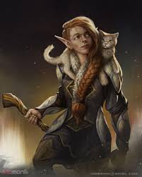 Image result for druid