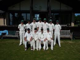 Image result for Halstead Cricket Club