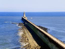 Image result for Tyneside Loipers