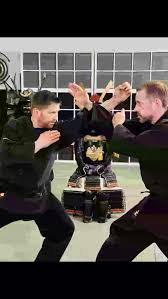 Image result for Bujinkan Dojo Seijitsu