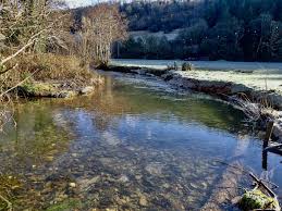 Image result for Dulverton Angling Association