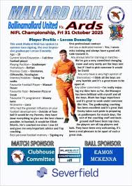 Image result for Ballinamallard United Football Club