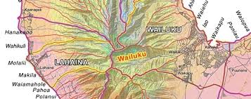 「VHAPUNI　MAO」の画像検索結果