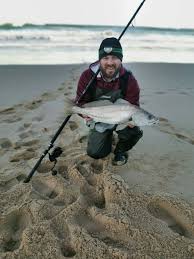 Image result for Argyrosomus coronus