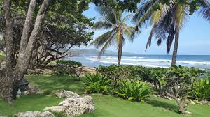 Image result for Phoenix Star Judo Club (Southwick)