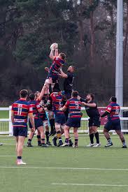 Image result for Harpenden Rugby Football Club
