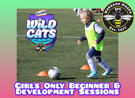 Image result for Warsash Wasps Sports & Football Club