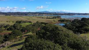 Image result for Slough