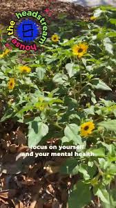 Image result for Headstream Divers