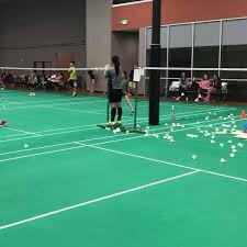 Image result for Gb Landscapes Badminton Club