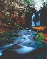 Image result for Green Hollow Bowmen