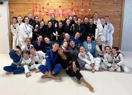 Image result for Precision Martial Arts