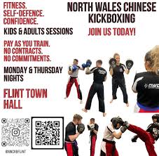 Image result for Chinese Kick Boxing Club