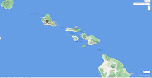 「VHAPUNI　MAO」の画像検索結果