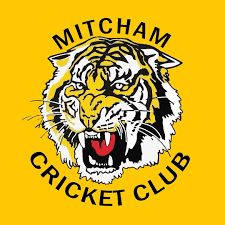 Image result for Mitcham Cricket Club