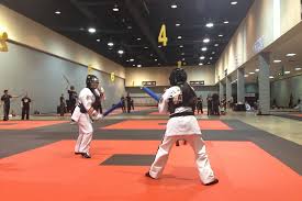 Image result for Association For Tae Kwon Do