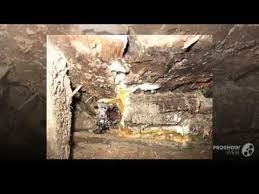 Attēlu rezultāti vaicājumam “Leucogyrophana sororia”