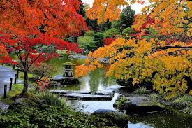 Image result for japanese gardens...