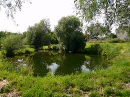 Image result for Nassington Cc