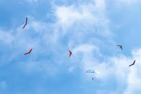 Image result for Lanarkshire and Lothian Soaring Club