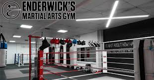 Image result for middlesbrough karate academy