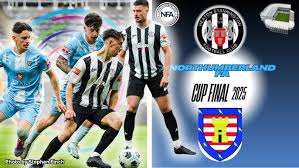 Image result for Heaton Stannington Afc