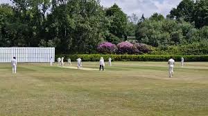 Image result for Blackheath Cricket Club