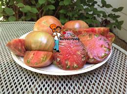 Afbeeldingsresultaat voor carbon tomato