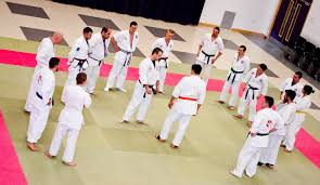 Image result for British Jiu-Jitsu School