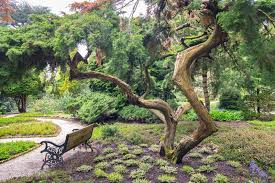 Image result for Arboretum Trompenburg