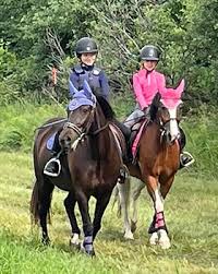 Image result for Weybridge Equestrian Centre