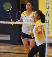 Image result for Pioneers Badminton Club