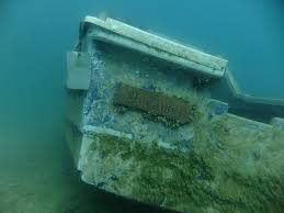 Image result for York University Sub Aqua Club