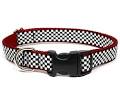 dog collars, dog leashes, dog harnesses, dog martingale collars