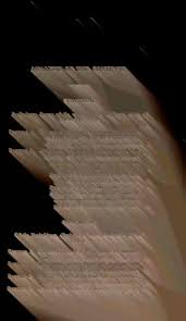 Attēlu rezultāti vaicājumam “Populus x lettland”