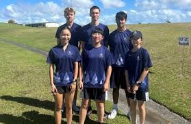 Image result for Pinehurst Netball Club