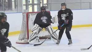 Image result for Kingston Ice Dance Club