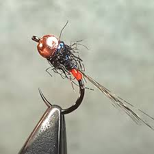 Attēlu rezultāti vaicājumam “nymph”