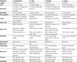 Attēlu rezultāti vaicājumam “Chara polyacantha”