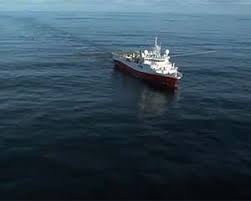 Image result for Dolphina Gc