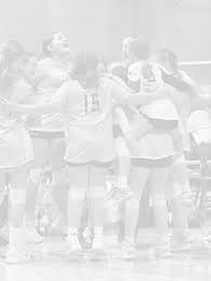 Image result for White Eagles Volleyball Club