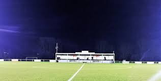 Image result for Hadleigh United Football Club