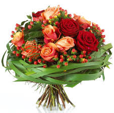 http://t0.gstatic.com/images?q=tbn:ANd9GcRkVEu76TaJg9BgIDBI4sAb1z43HhrxDVvKvS5qjo4WAcFzW4vv