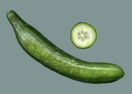 Image result for Gurke