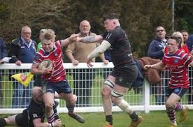 Image result for Rochford Hundred Rugby Club