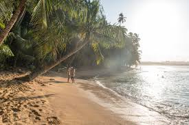 Image result for cahuita costa rica