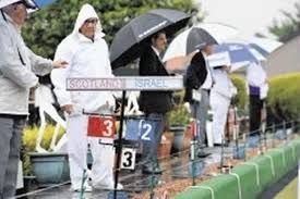 Image result for King`s Park Bowling Club