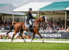 Image result for Jp-Sheffield Eventing