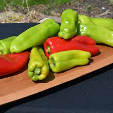 Afbeeldingsresultaat voor aconcagua sweet pepper
